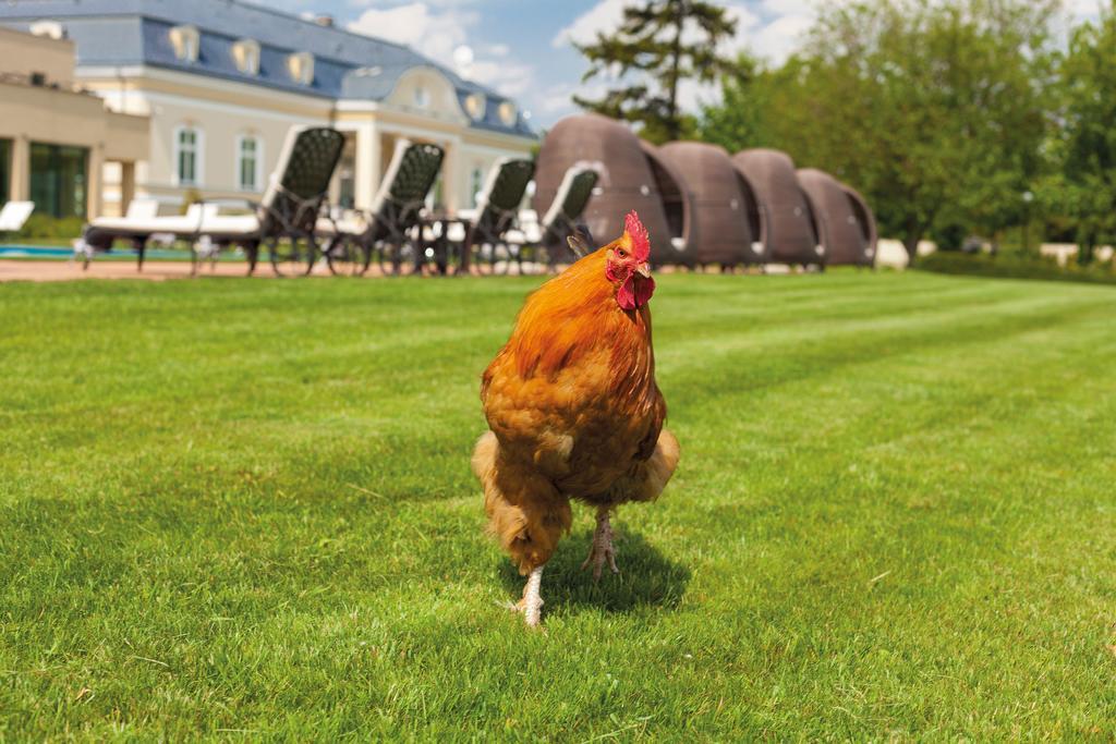 Amade Chateau Vrakun Exterior photo
